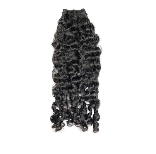 Burmese Curly Sale